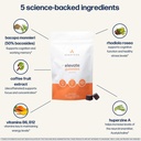 avantera-elevate-gummies-premium-nootrop-4.jpg