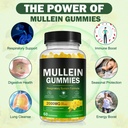 mullein-gummies-for-lungs-mullein-extrac-3.jpg