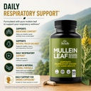 herbame-mullein-leaf-1000mg-120-capsules-4.jpg