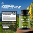 herbame-mullein-leaf-1000mg-120-capsules-2.jpg