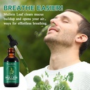 mullein-drops-for-lungs-natural-mullein--2.jpg