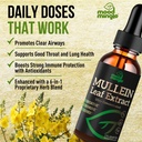 mullein-leaf-extract-for-lungs-mullein-d-3.jpg