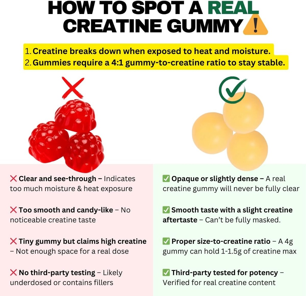 creatine-monohydrate-gummies-for-men-wom-4.jpg