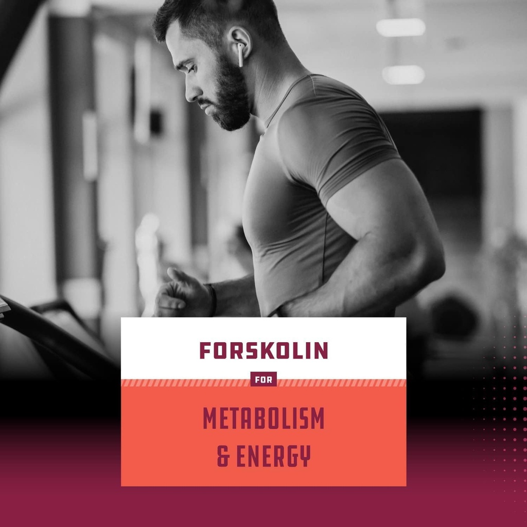 pure-forskolin-extract-indian-coleus-for-5.jpg