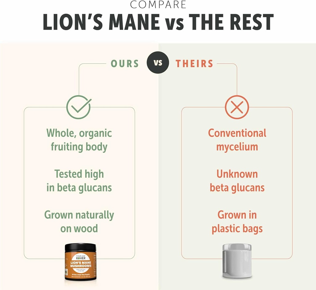 lions-mane-mushrooms-for-dogs---supports-5.jpg