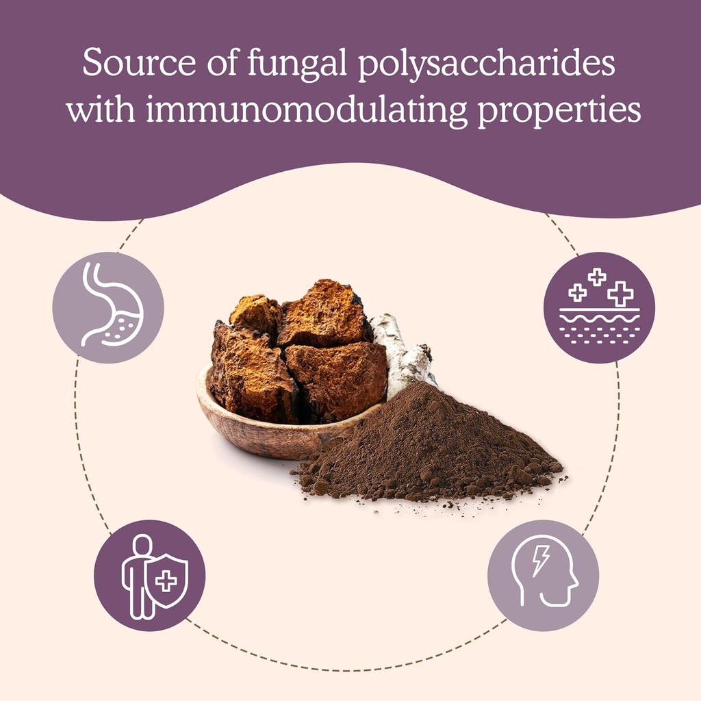 real-mushrooms-chaga-mushroom-powder-org-2.jpg