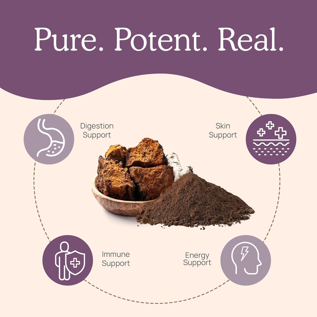 real-mushrooms-chaga-mushroom-powder-org-4.jpg