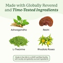 plant-people-wondercalm-mushroom-gummies-5.jpg
