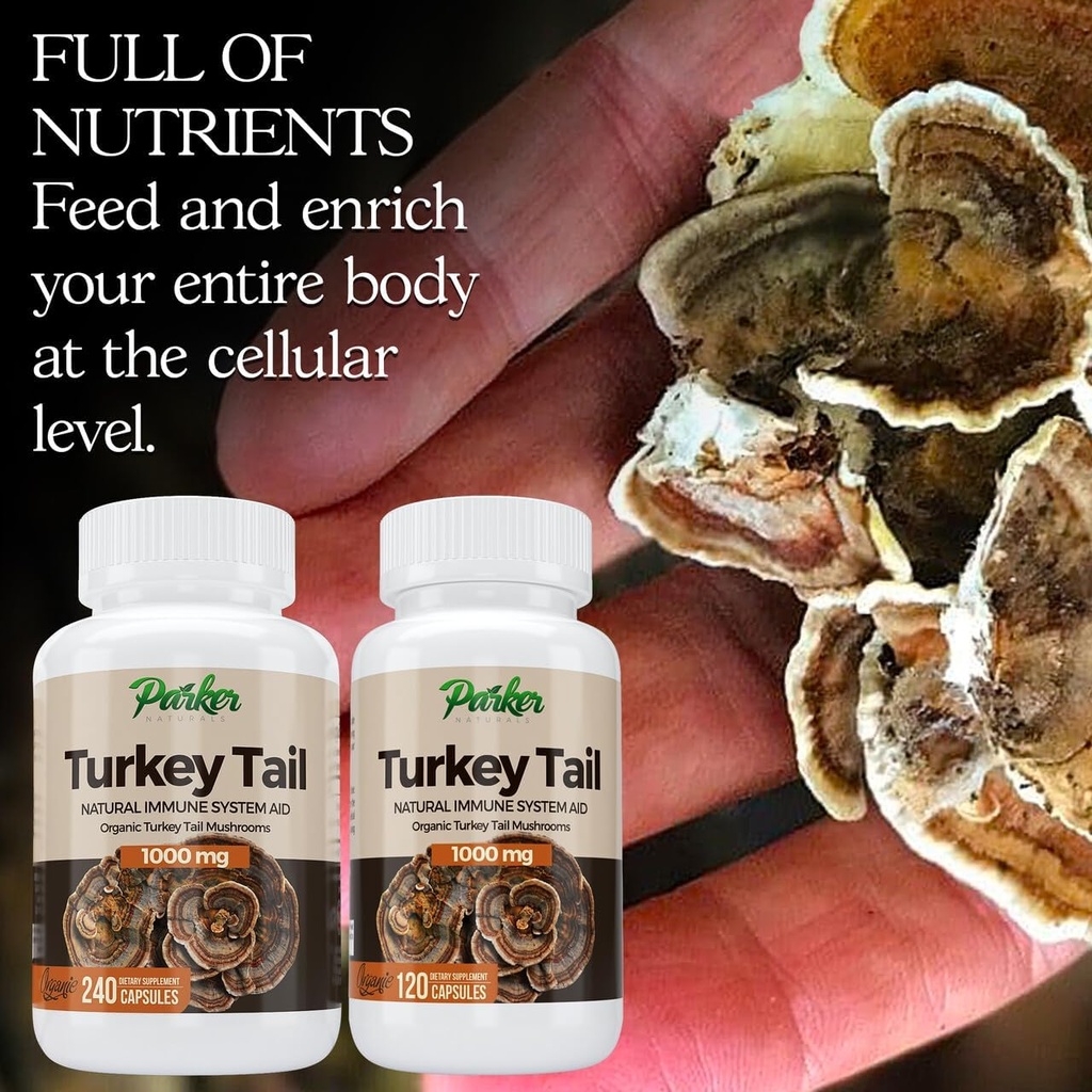 turkey-tail-mushroom-capsules---organic--2.jpg