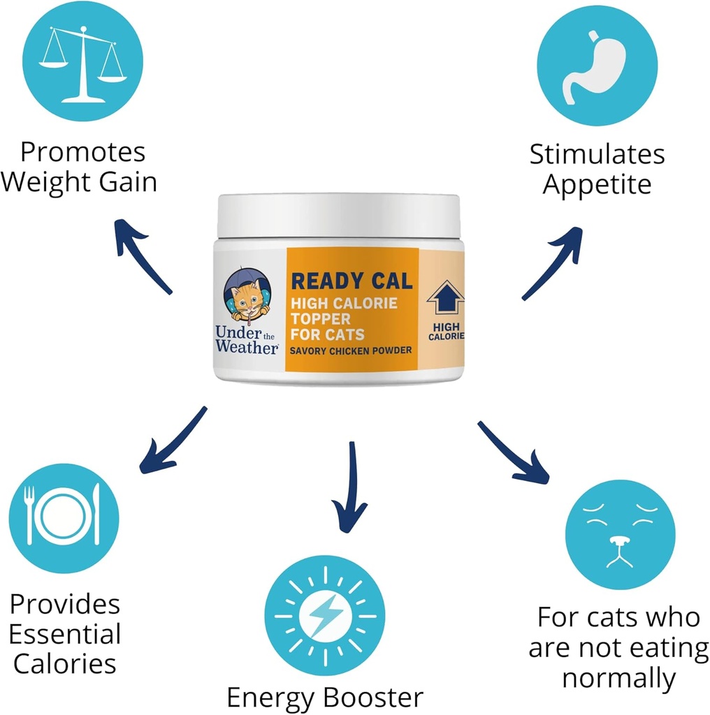 under-the-weather-ready-cal-powder-for-c-4.jpg