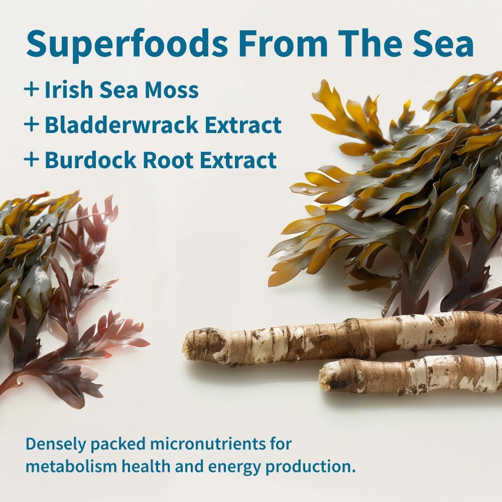 snap-supplements-irish-sea-moss-capsules-3.jpg