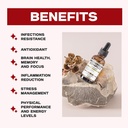 the-healthy-life-4-me-liquid-mushroom-co-5.jpg