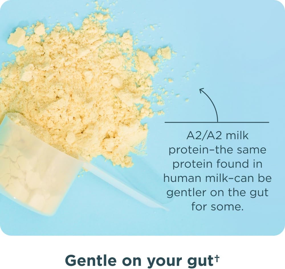 ancient-nutrition-grass-fed-whey-protein-4.jpg