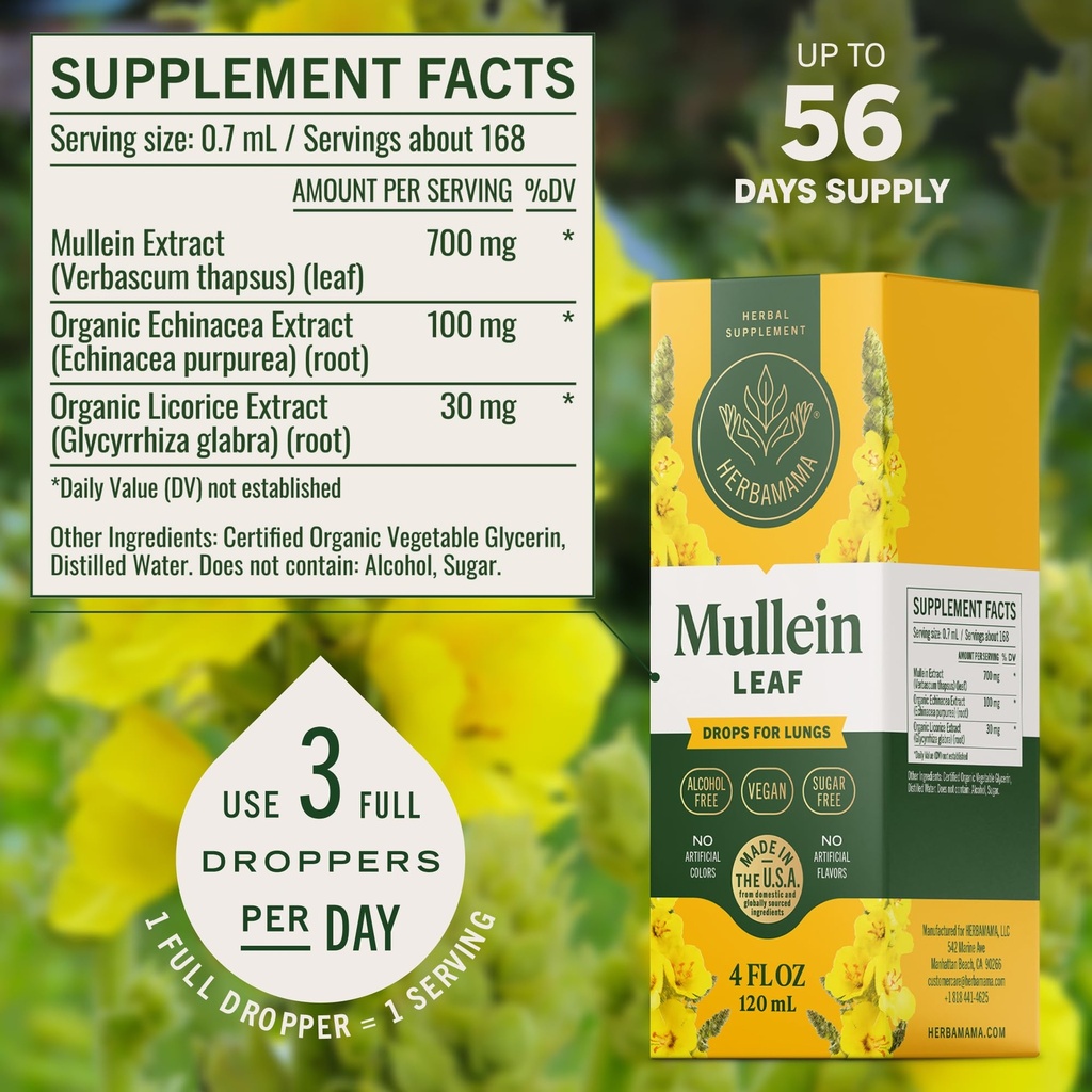 herbamama-mullein-drops-for-lungs-vegan--3.jpg