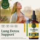 herbamama-mullein-drops-for-lungs-vegan--2.jpg