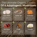 organic-super-six-mushroom-powder-supple-2.jpg