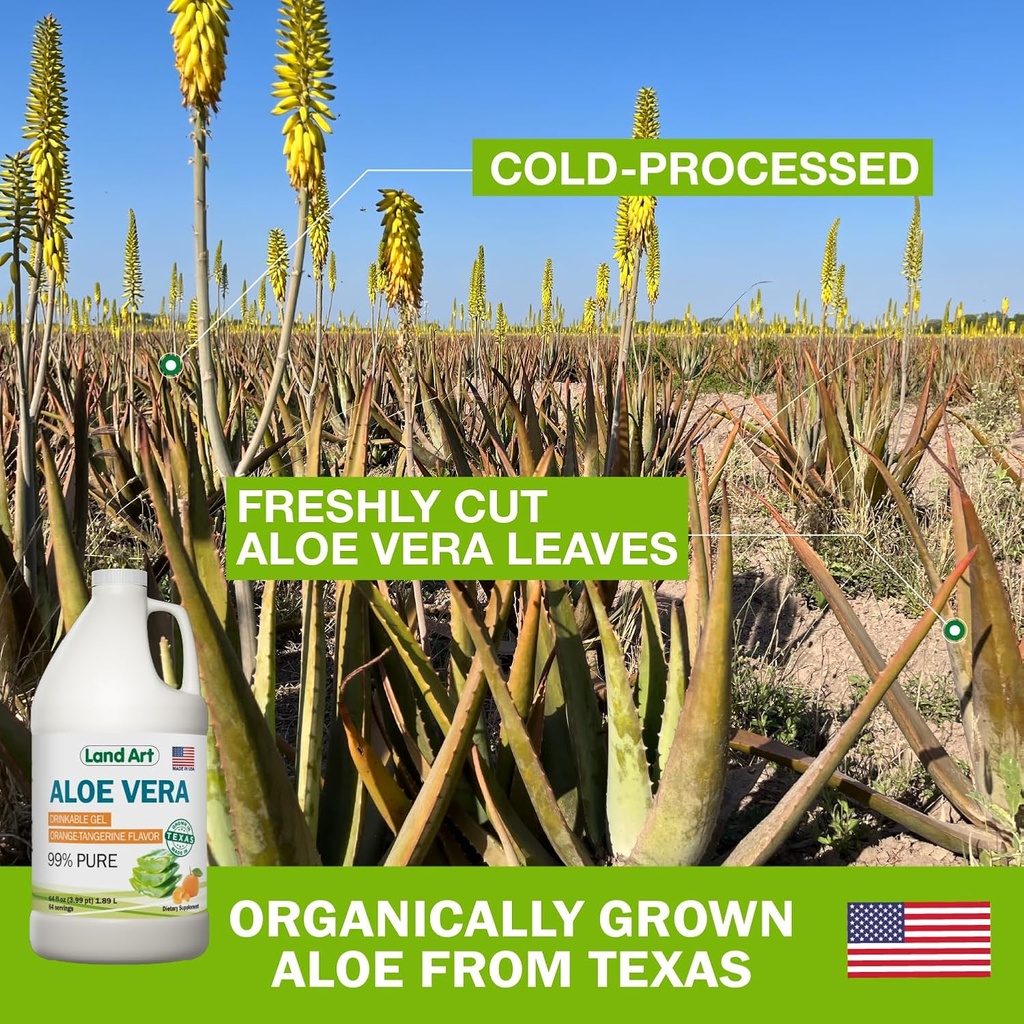 pure-aloe-vera-drinkable-gel---orange-ta-3.jpg