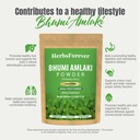herbsforever-bhumiamalaki-powder-230g-ph-6.jpg