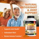 turmeric-quercetin-with-bromelain-supple-5.jpg