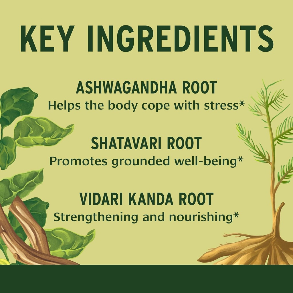 banyan-botanicals-healthy-vata-organic-h-3.jpg