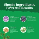 gallbladder-support-digestive-enzymes-wi-5.jpg