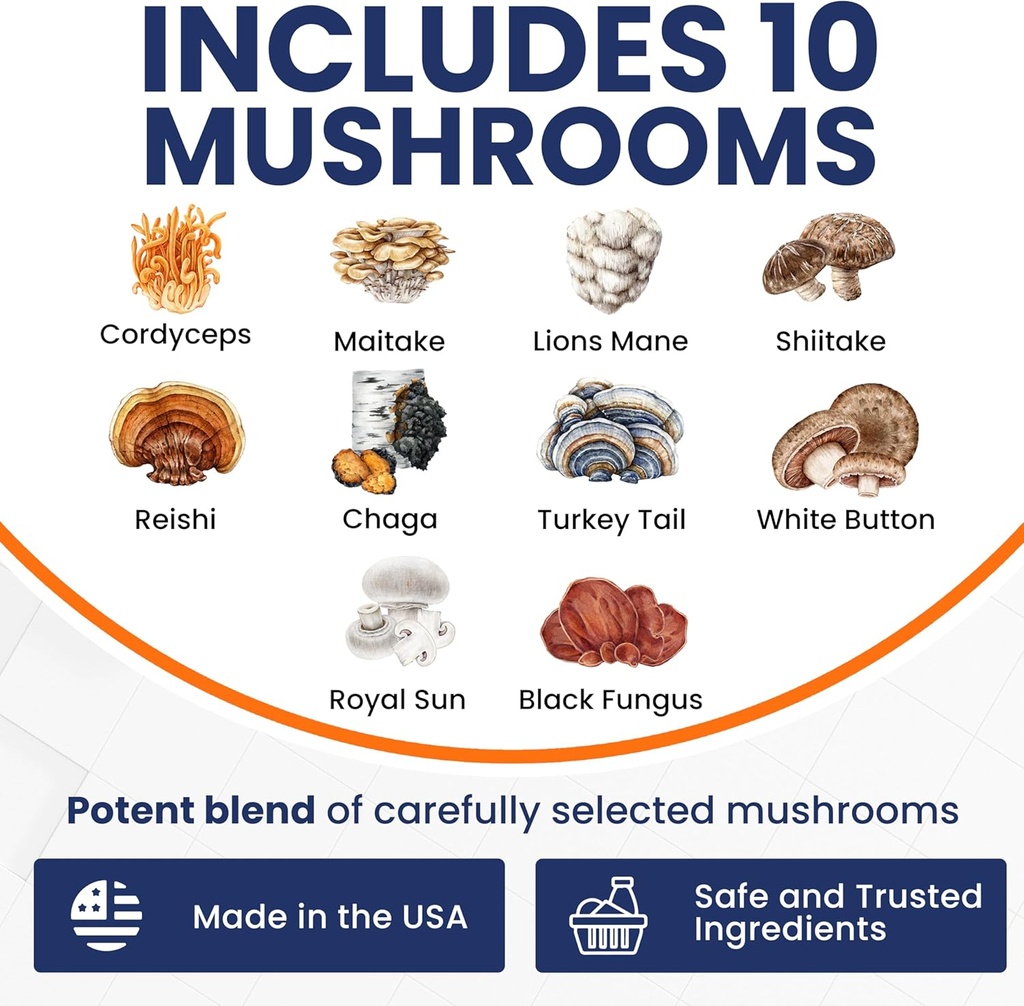 mushroom-supplement-capsules---10x-mushr-5.jpg