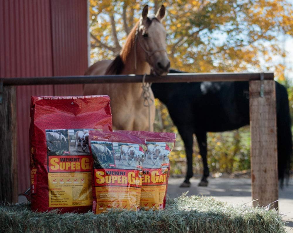 super-weight-gain-10-lb-equine-vitamin-m-2.jpg