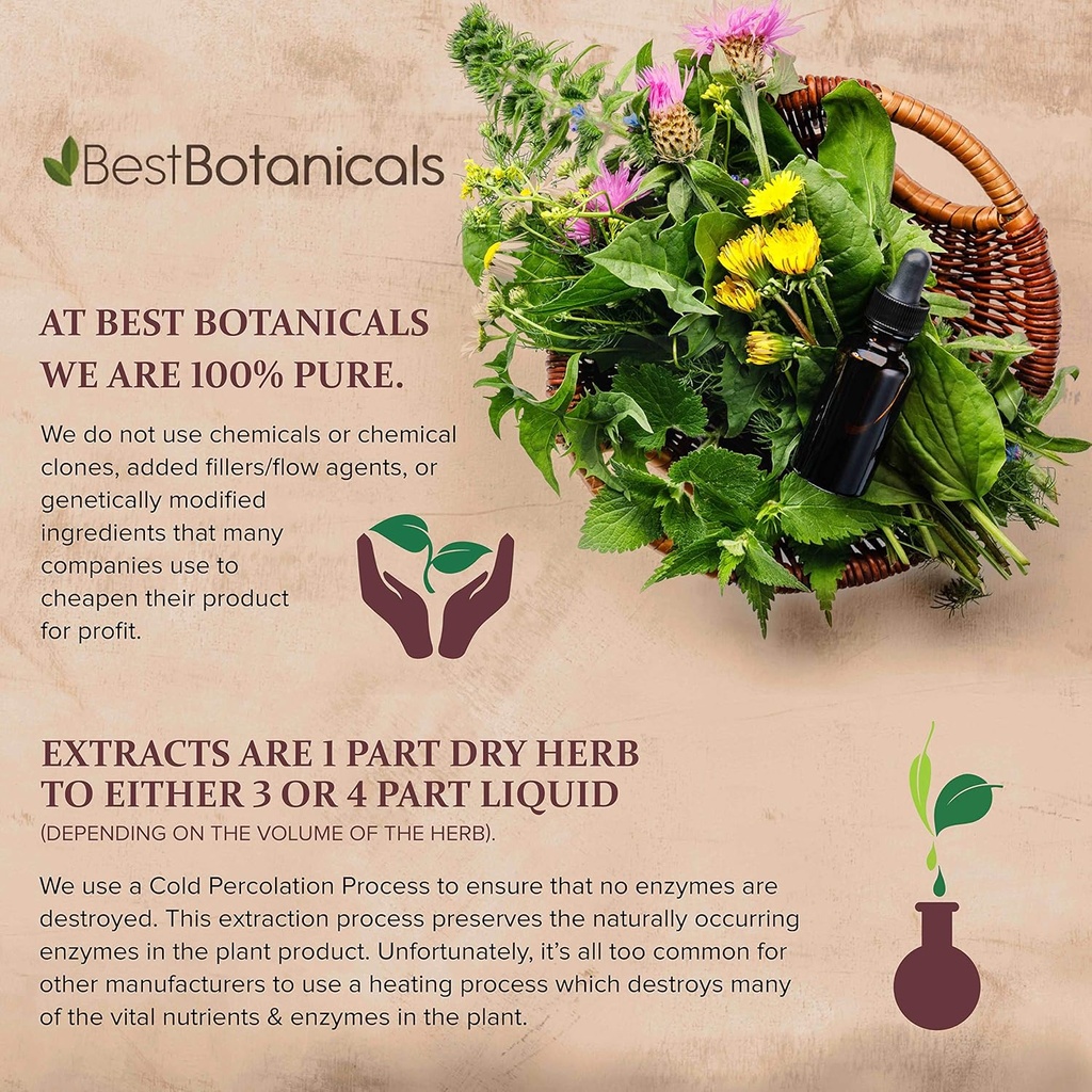 best-botanicals-eyebright-herb-powder-16-3.jpg