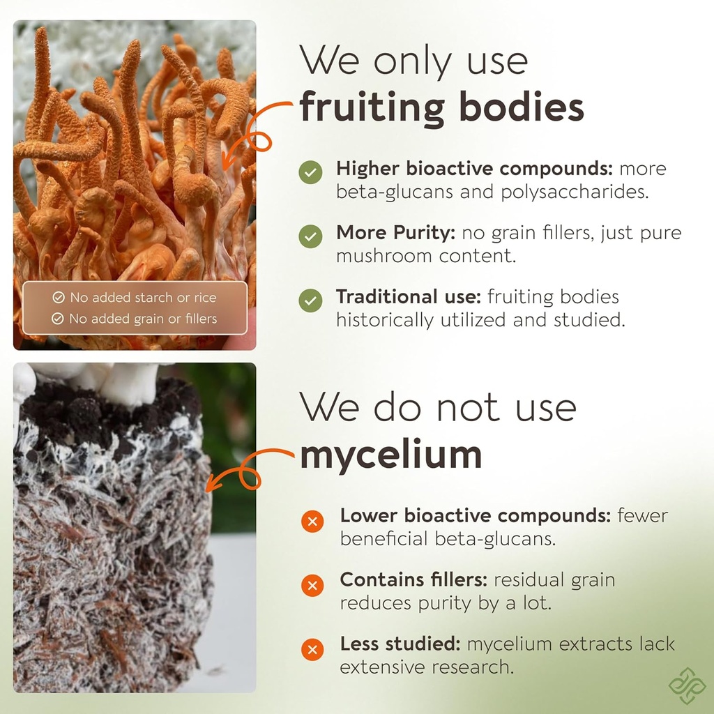 longevity-botanicals-cordyceps-mushroom--3.jpg