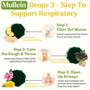 mullein-drops-for-lungs-liposomal-14-in--3.jpg