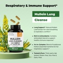 sandhu-s-mullein-capsules-for-lungs-with-3.jpg