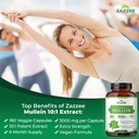 zazzee-extra-strength-mullein-leaf-10-1--3.jpg