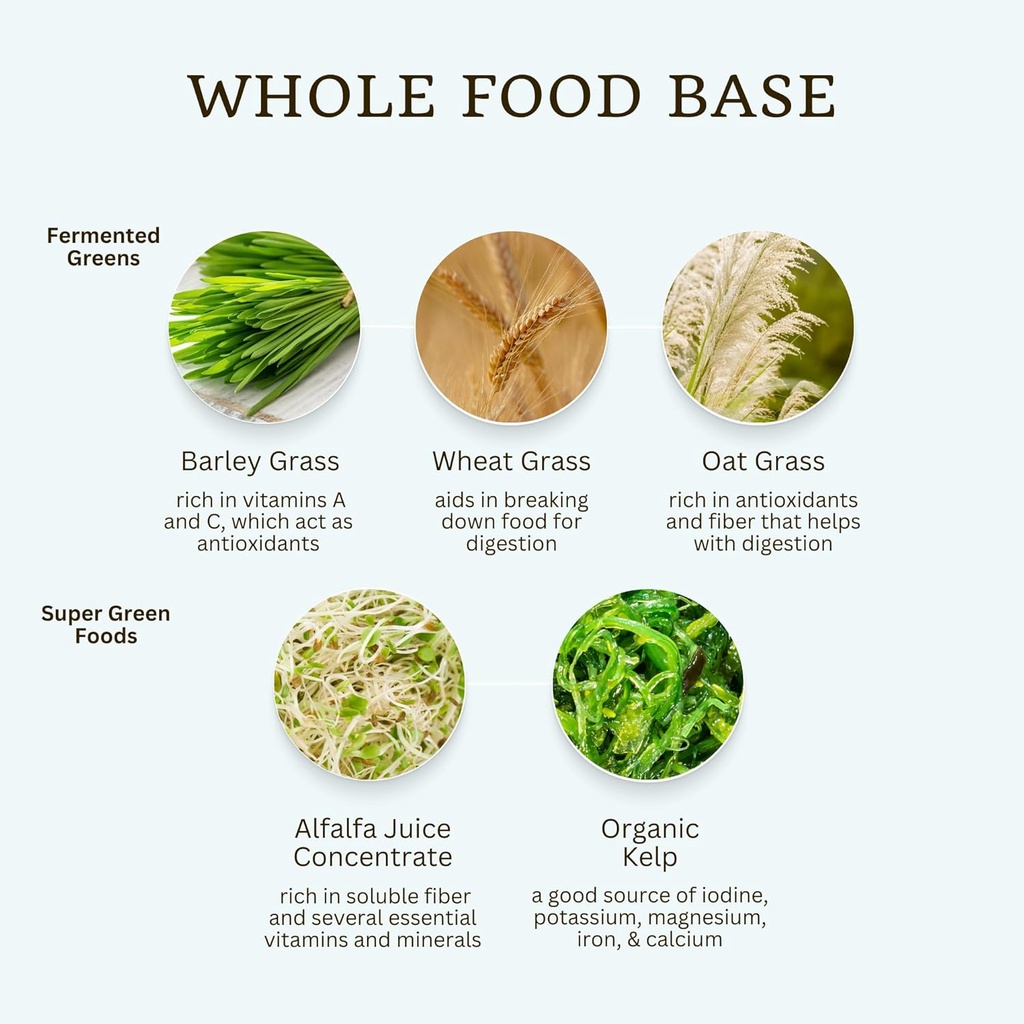 vtc-vitatradingco-probiotic-gut-defense--5.jpg
