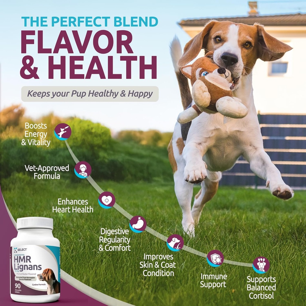 k9-select-hmr-lignans-for-dogs---enhance-3.jpg
