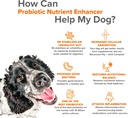 pet-probiotics-for-dogs-supplement---sup-6.jpg