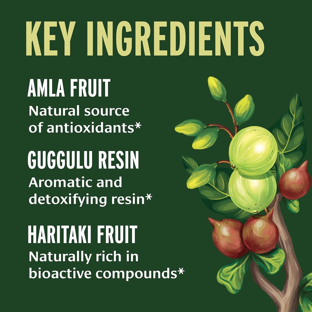 banyan-botanicals-triphala-guggulu-organ-3.jpg