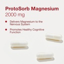 protocol-for-life-balance-magtein-2-000m-4.jpg