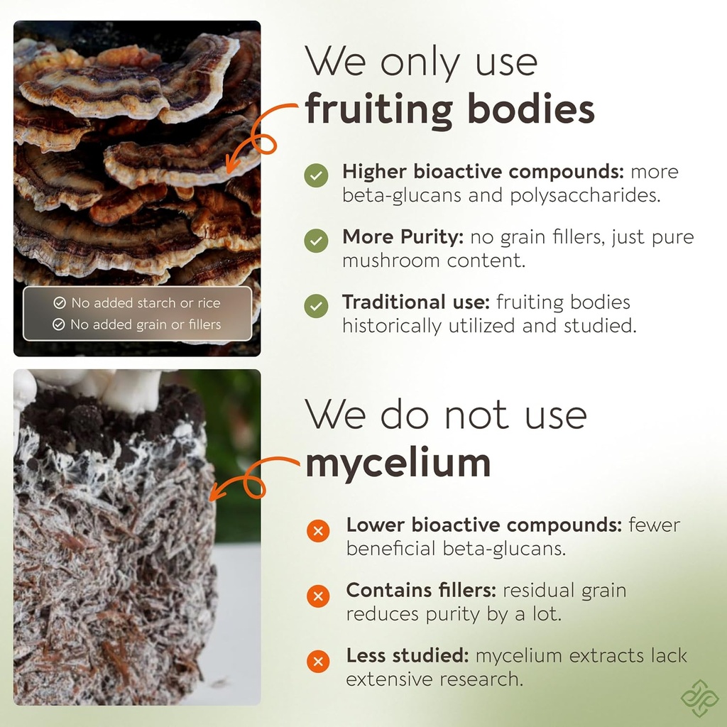 longevity-botanicals-turkey-tail-mushroo-4.jpg