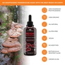 naturealm-lions-mane-reishi-chaga-mushro-6.jpg