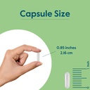 bestvite-vitamin-b-1-thiamin-500mg-240-v-4.jpg