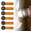 cordyceps-mushroom-supplement-capsules-1-4.jpg