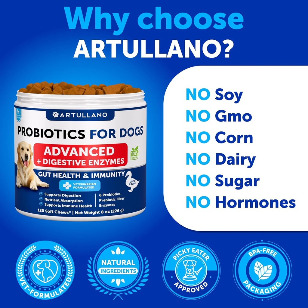 probiotics-for-dogs---support-gut-health-5.jpg