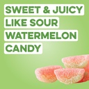 clean-simple-eats-clear-protein-drinks-2-2.jpg