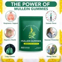 flasture-mullein-gummies-for-lungs-sinus-5.jpg