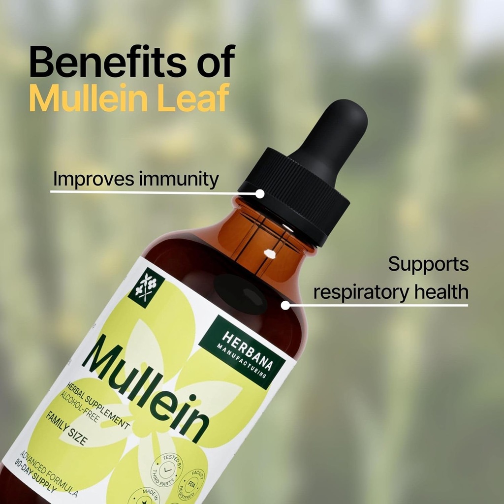 mullein-leaf-4-fl-oz-liquid-extract---na-3.jpg