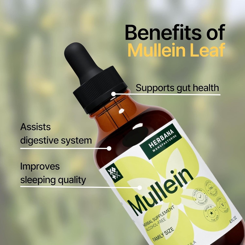 mullein-leaf-4-fl-oz-liquid-extract---na-4.jpg