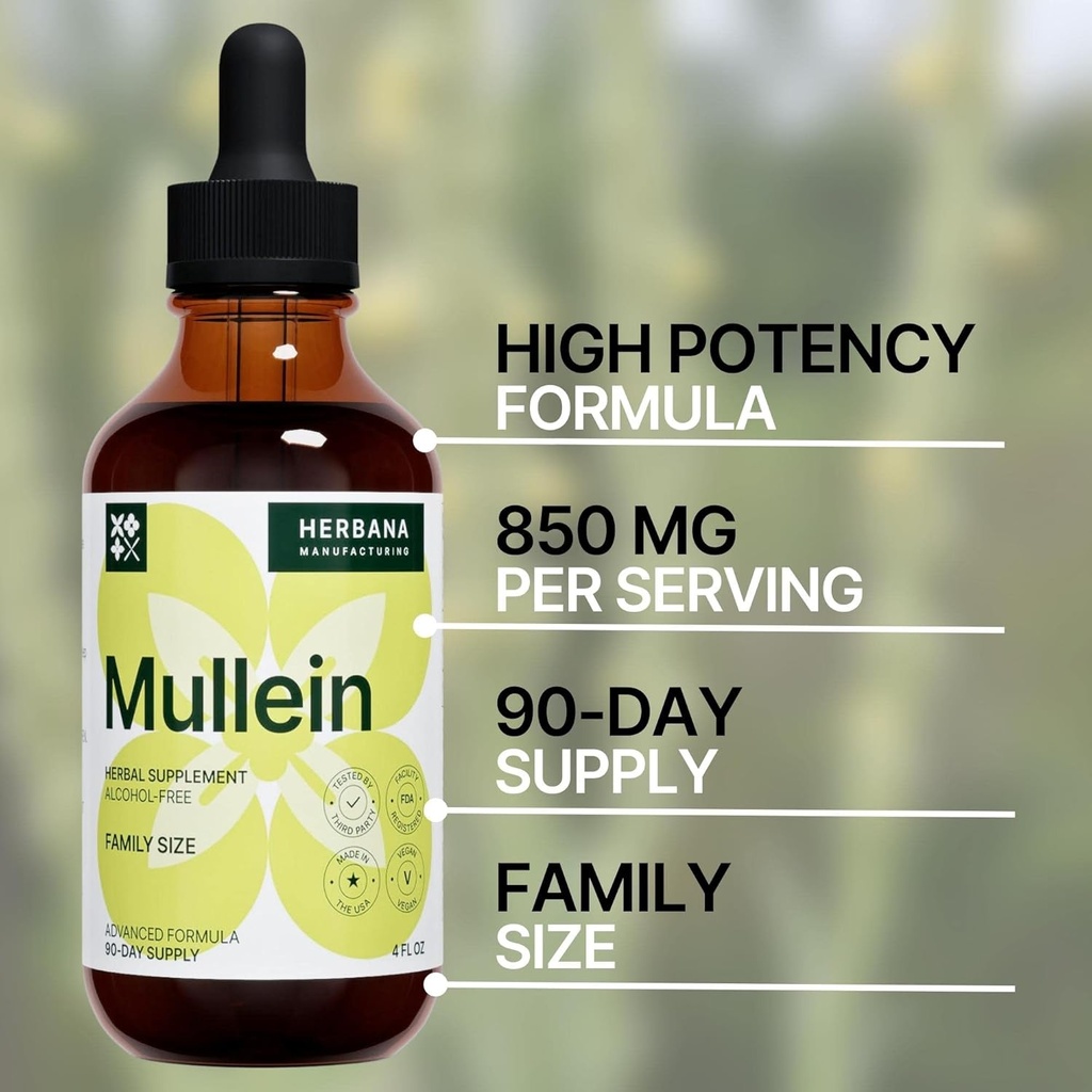 mullein-leaf-4-fl-oz-liquid-extract---na-5.jpg