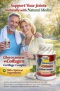 glucosamine-chondroitin-hydrolyzed-colla-2.jpg