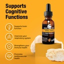 cedar-bear-lion-s-mane-mushroom-suppleme-3.jpg