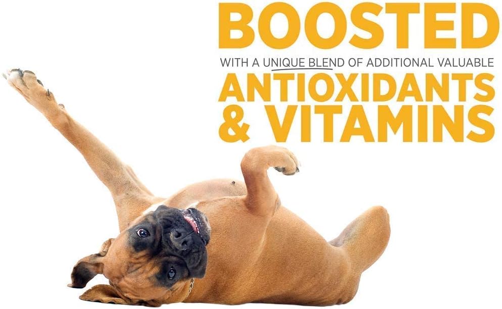 maxxipaws-sam-e-uti-bundle-maxxisame-adv-3.jpg